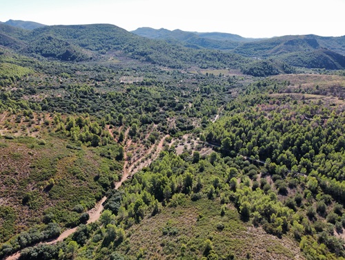 Imatge d'un paisatge de la Serra d'espadà